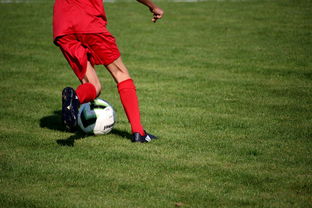 mk体育登录-内线球员在快节奏体系下的功能性演变，内线球员的主要作用